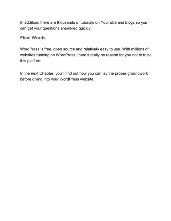 WordPress Success - Image 3