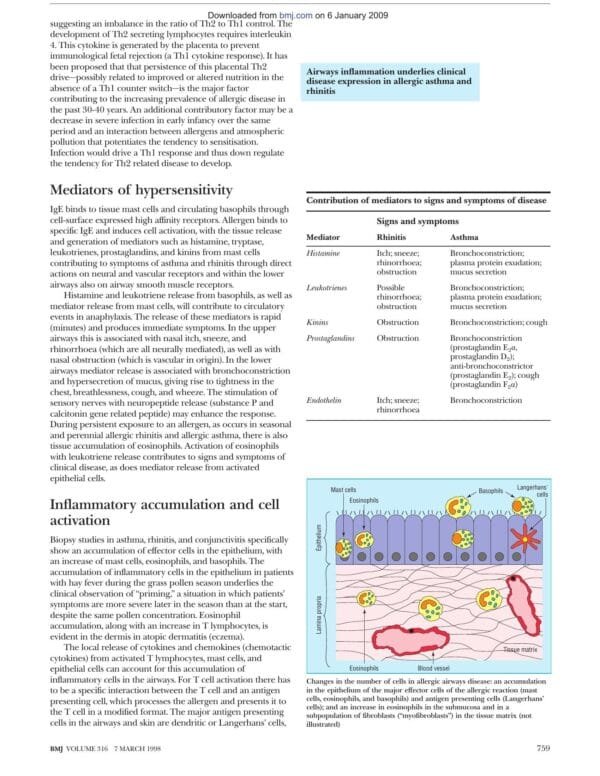 ABC of Allergies - Image 4