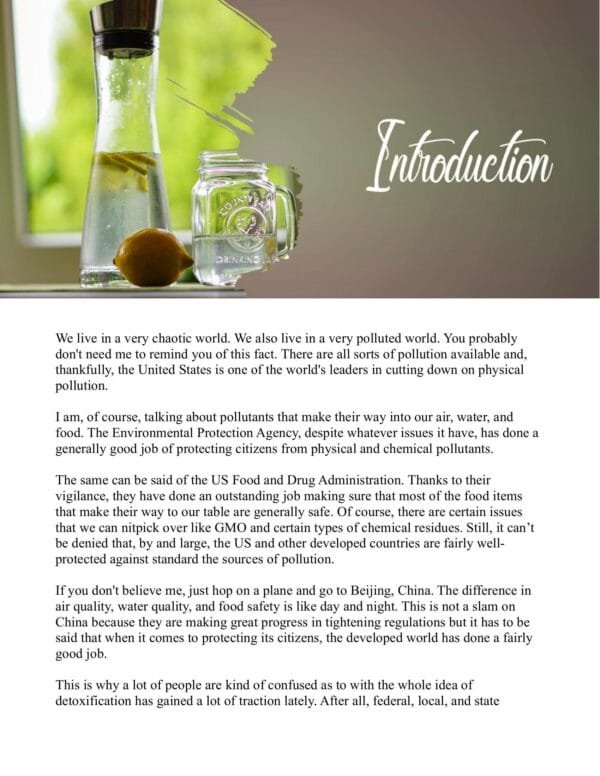 Detox Yourself - Image 2