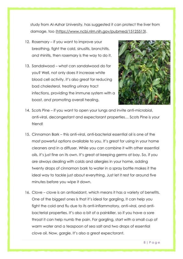 Essential Oils To Boost Immunity and Fight Infections - Image 3