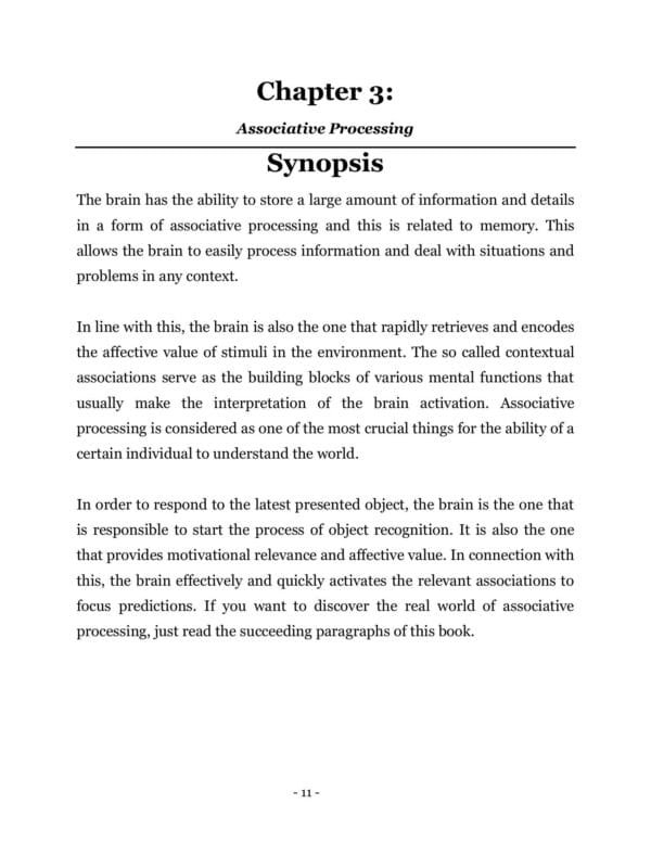 Intelligence Battle Plan - Image 2