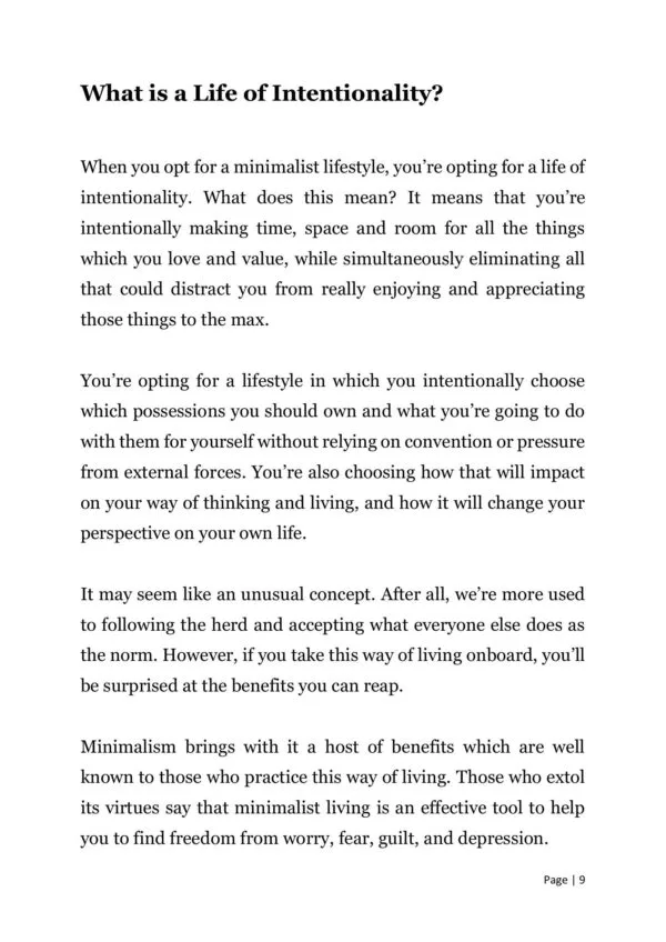 Minimalist Living - Image 3