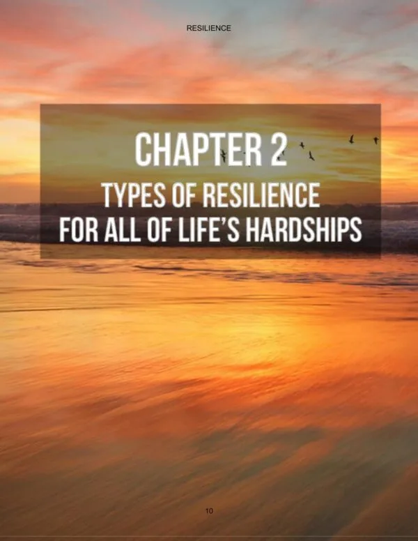 Resilience - Image 2