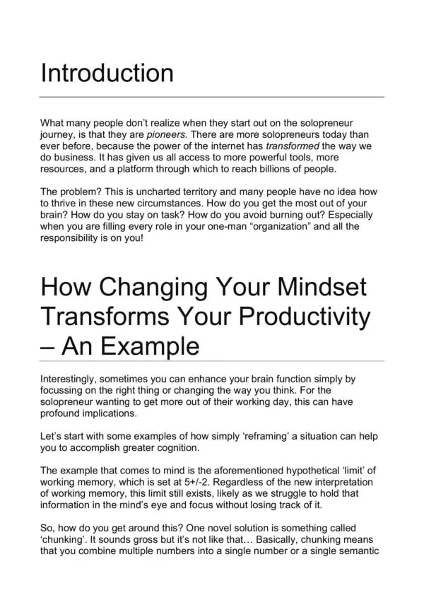 Solopreneur Mindset - Image 2