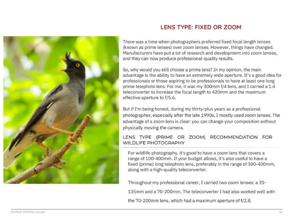 Perfect Wildlife Lenses - Image 4