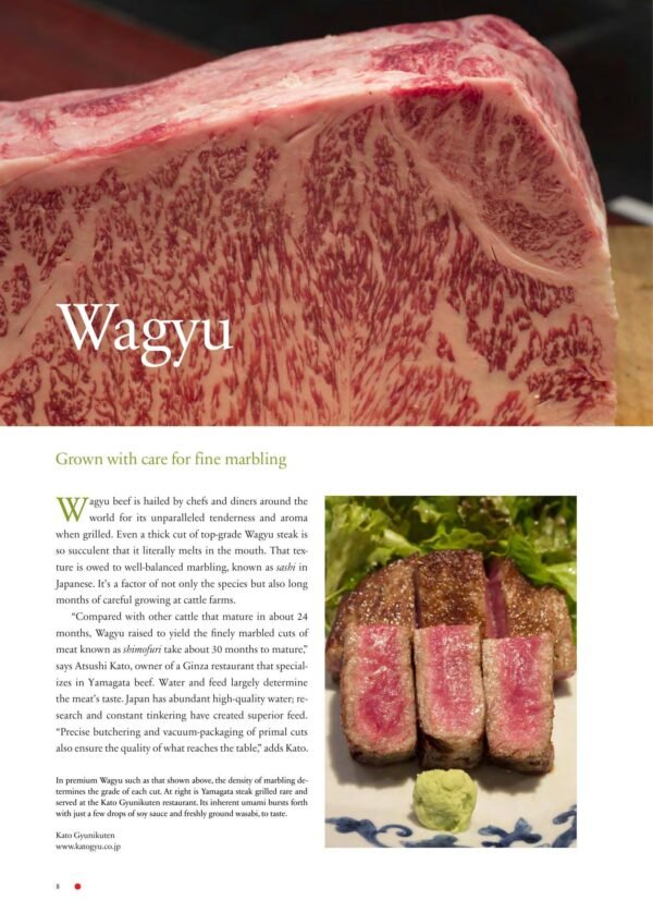 The Washoku Way - Image 3